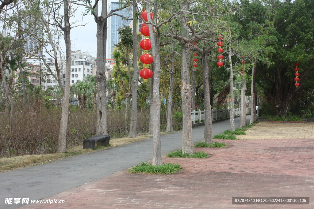 街道旁挂红灯笼的树木