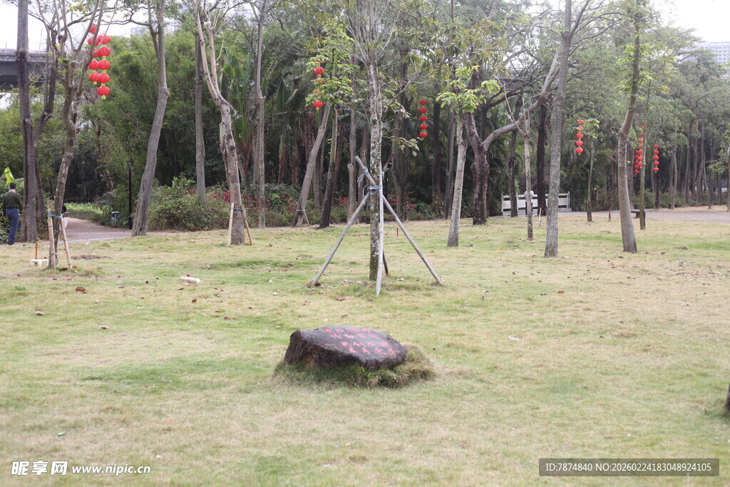 林间草地与孤石景观