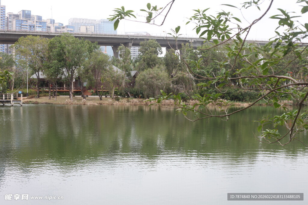 湖畔绿意 宁静自然景致