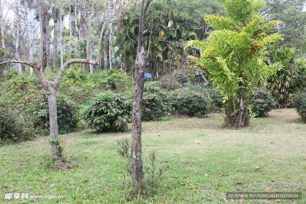 户外绿意盎然的花园景致