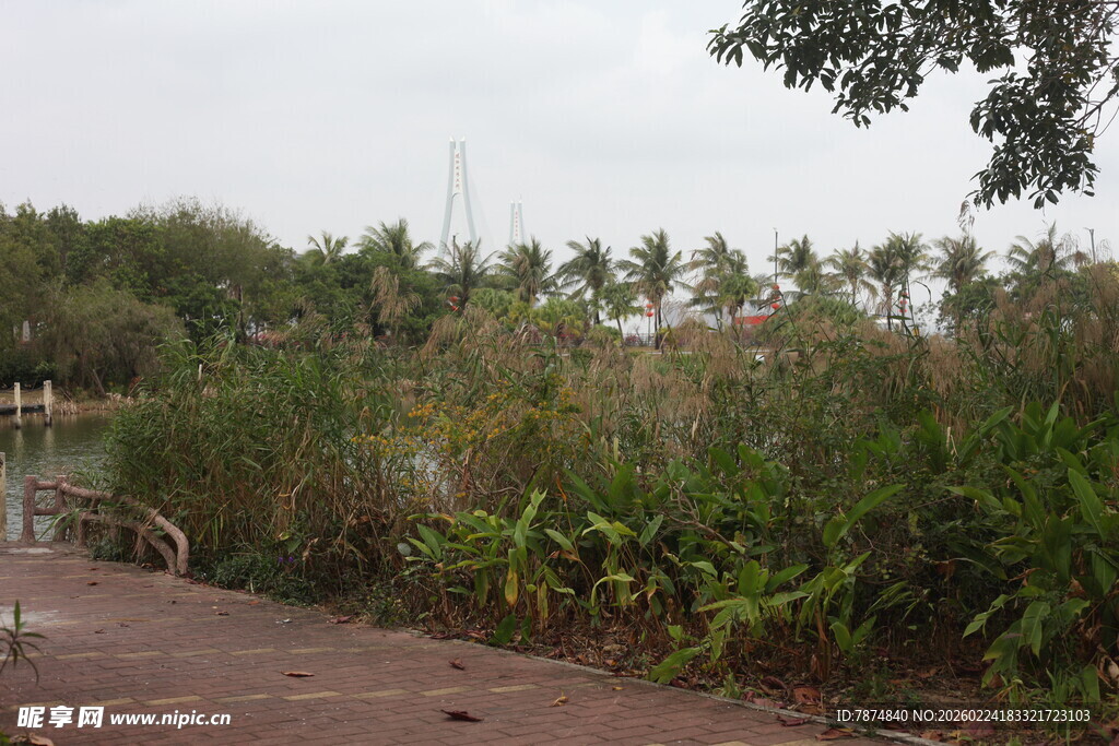 户外自然景观中的步道