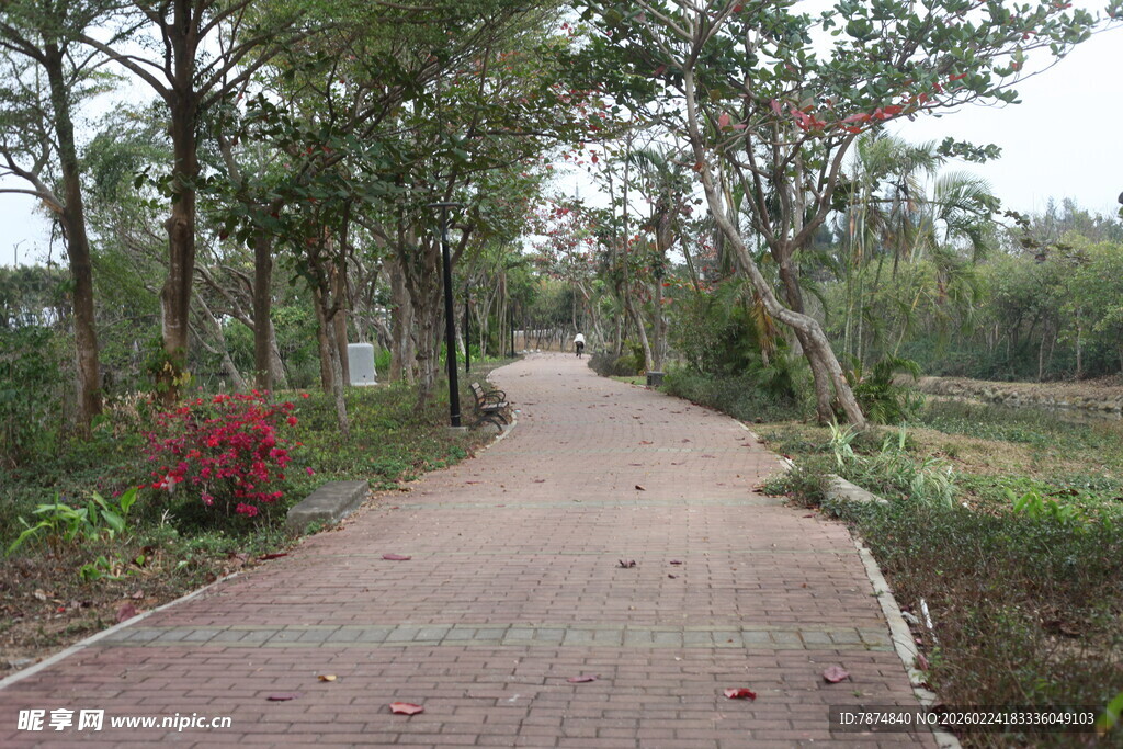 林间红砖小径 自然景致