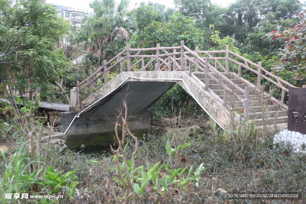 林间木桥横跨小小溪流