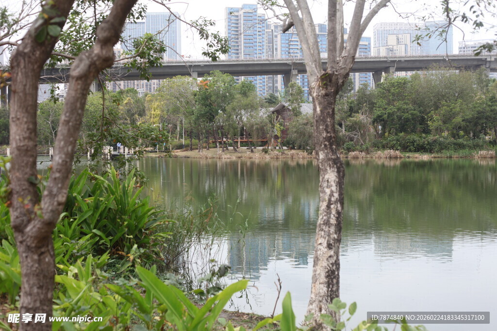 河畔景致 树木桥梁与湖水