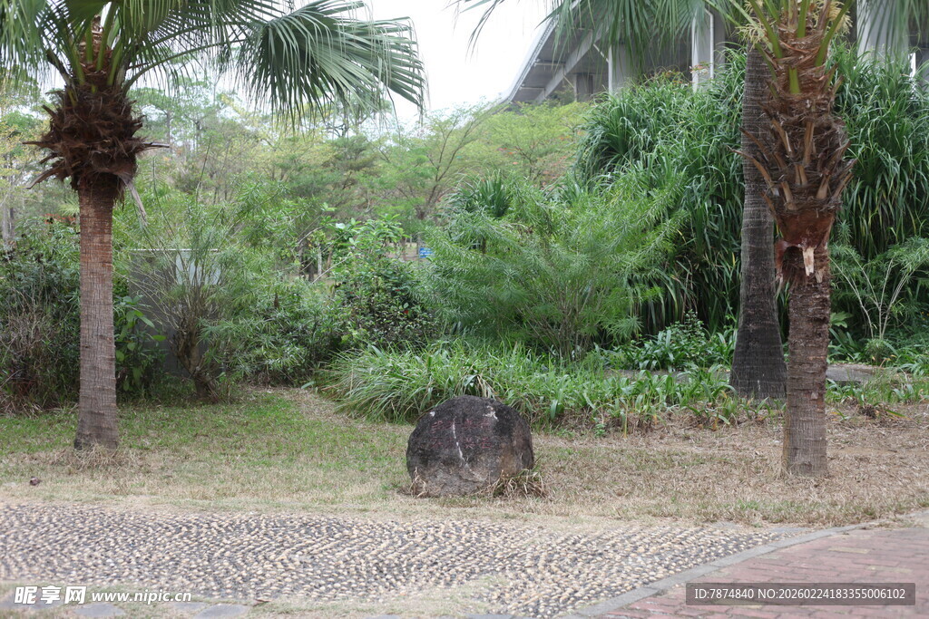 户外绿植环绕的休闲场景