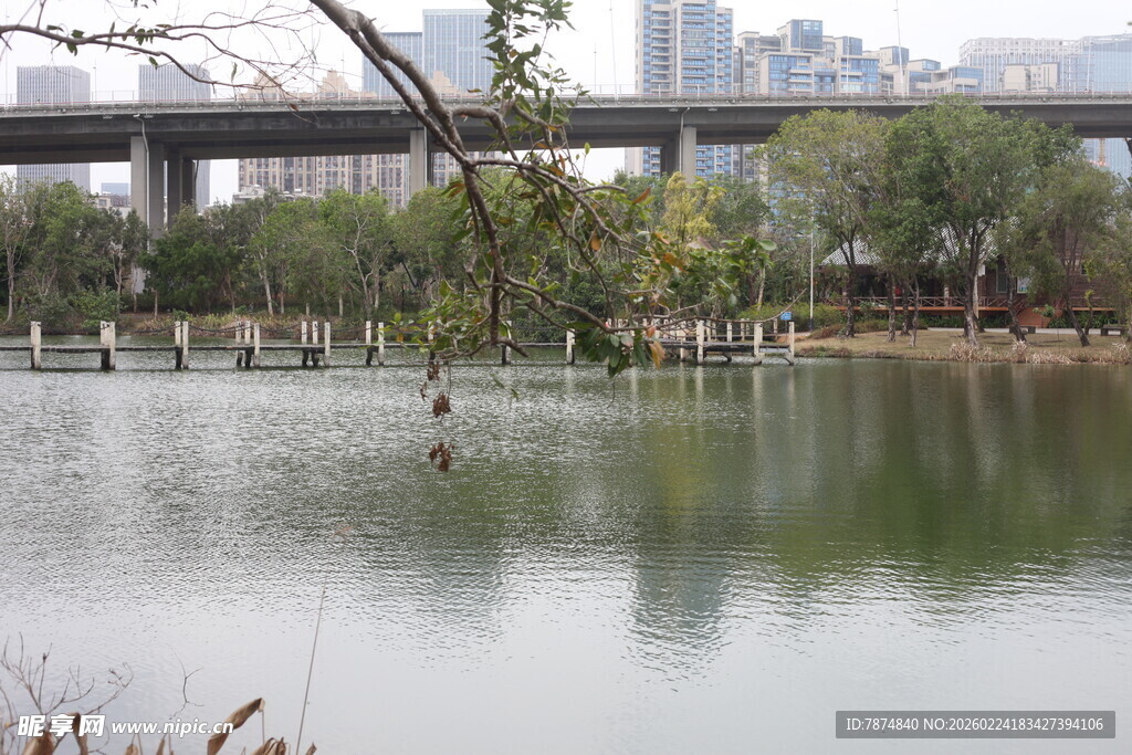 城市湖畔风景