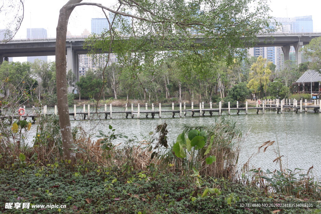 河畔风景 自然与建筑相融