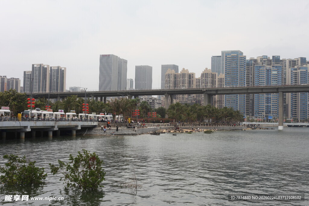 城市河畔桥梁与高楼景观