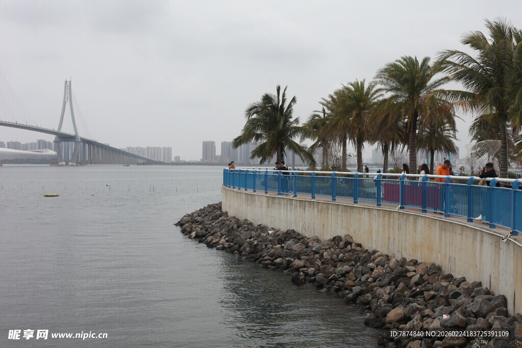 海滨风光 岸边椰树与桥梁