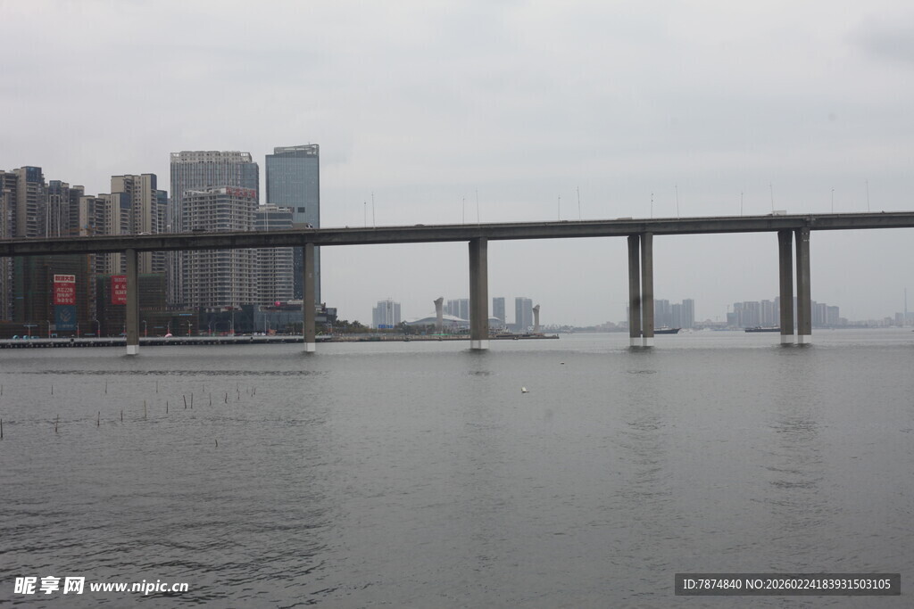 城市江景中的跨江大桥