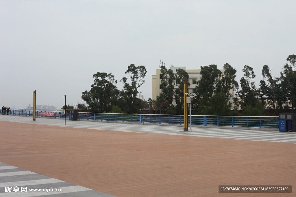 海滨步道旁的绿树景观