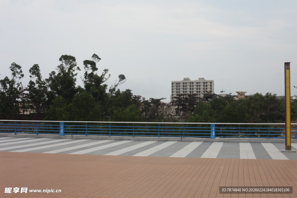 户外空旷广场与远处树木