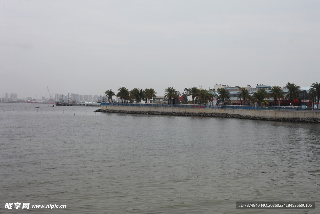 海滨风光 岸边绿树映水面