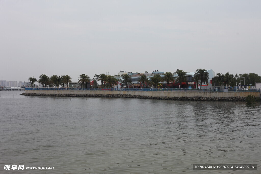 海滨风光 岸边绿树成荫