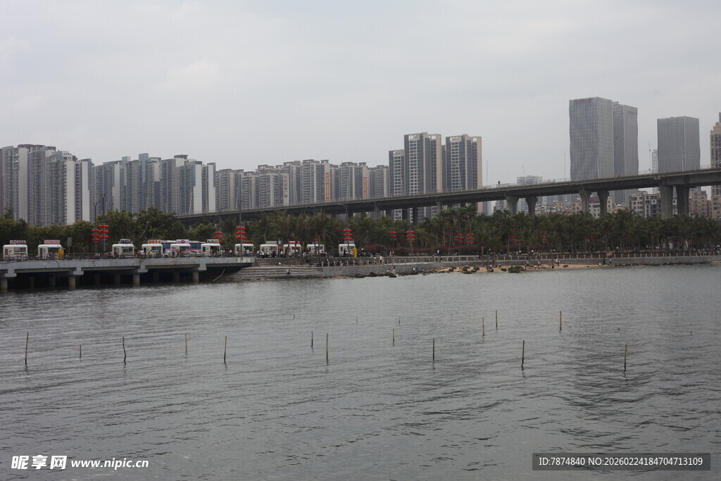 城市河畔桥梁与林立高楼