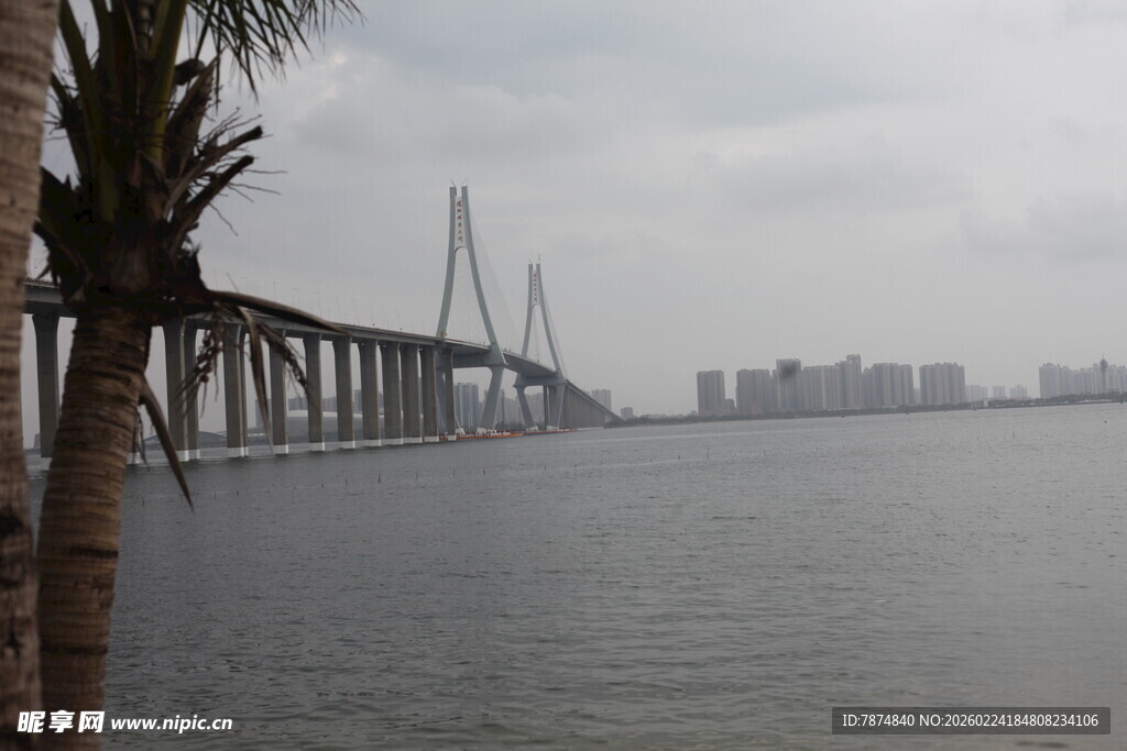 海滨大桥与城市远景
