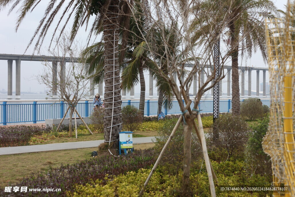 海滨桥梁旁的绿植景观