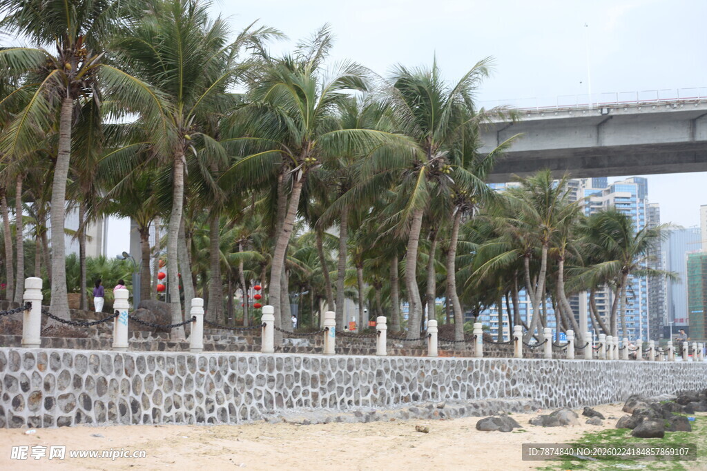 海滨椰林与跨海建筑景观