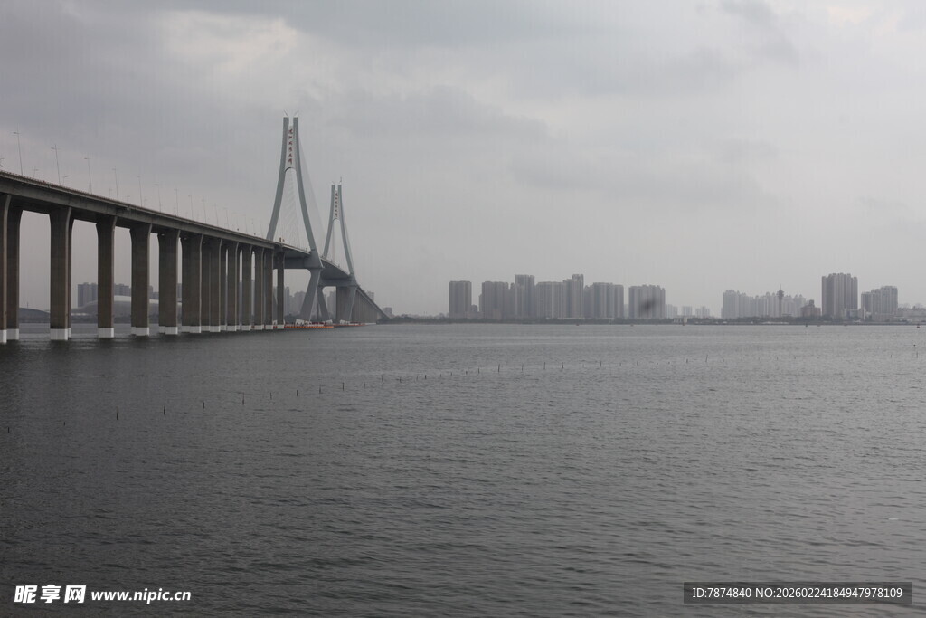 跨海大桥远眺城市天际线