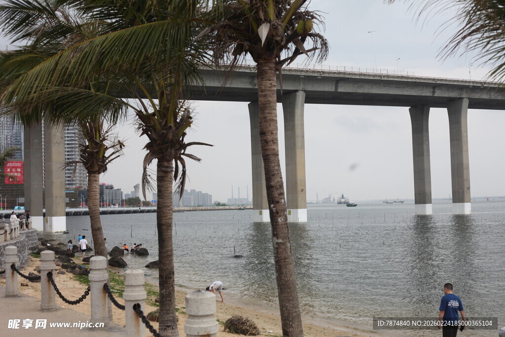 海滨大桥下的休闲风光