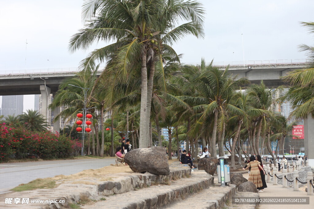 河畔椰树旁的休闲步道