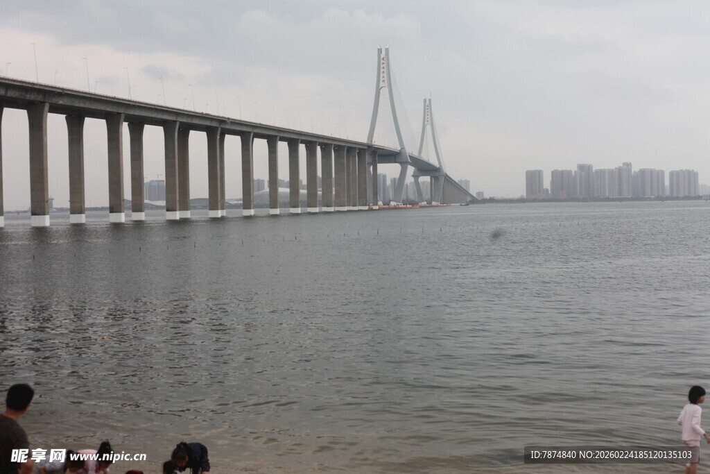 海滨大桥下人群赏景画面