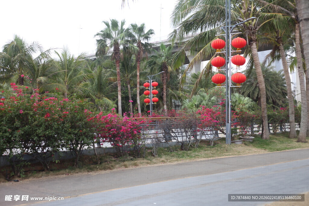 街道旁红灯笼与绿植景观