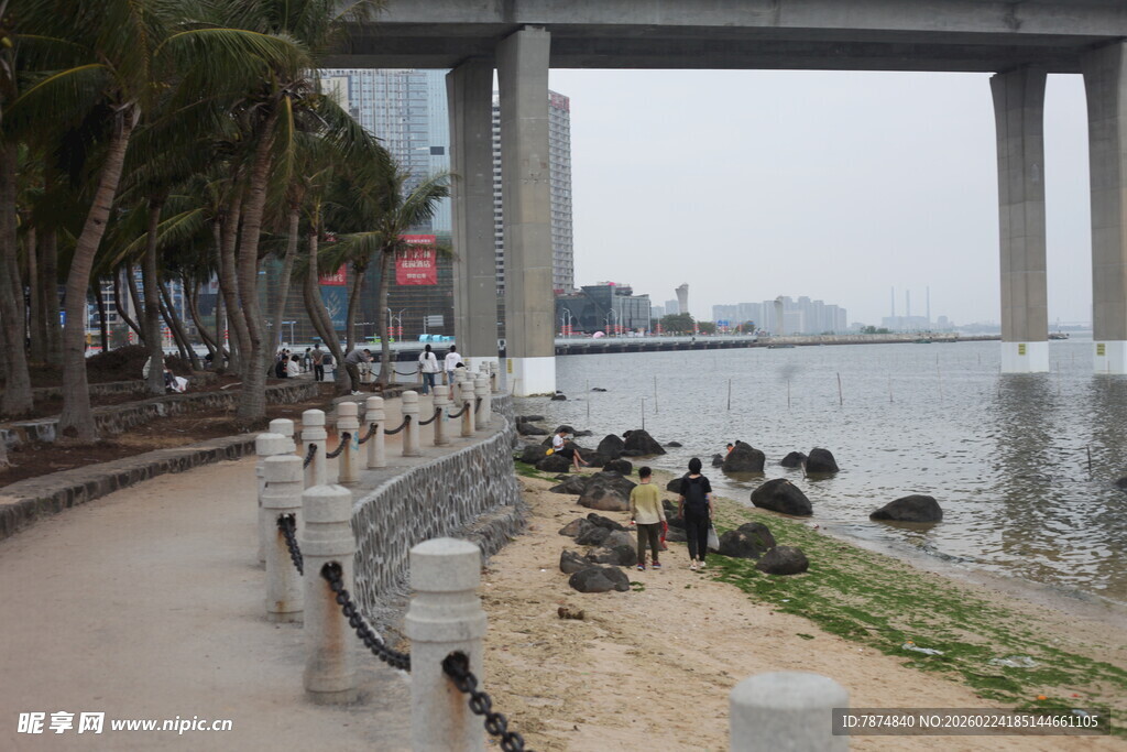 河畔桥墩下的鸟儿栖息景