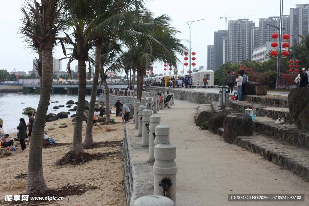 海滨椰树下的休闲步道