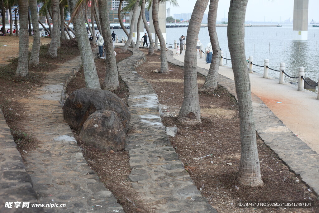 河边树木与石头景观