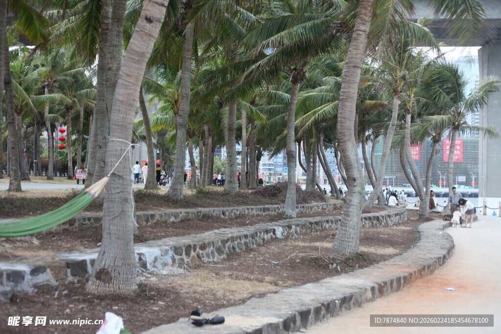 城市林荫步道景观