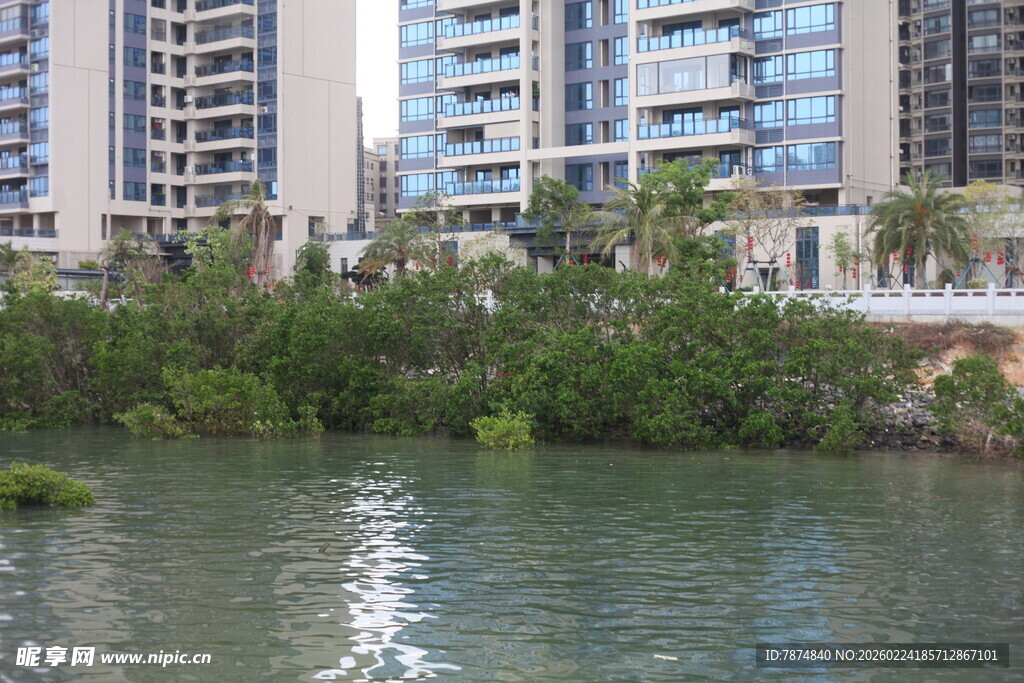河畔高楼与繁茂绿植景观