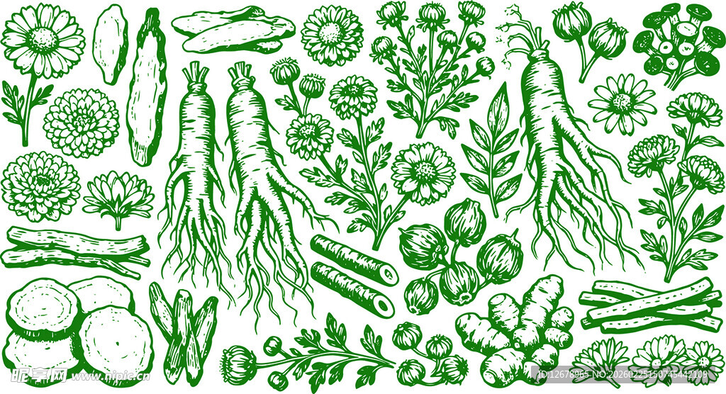 手绘绿色药材职务图案集合