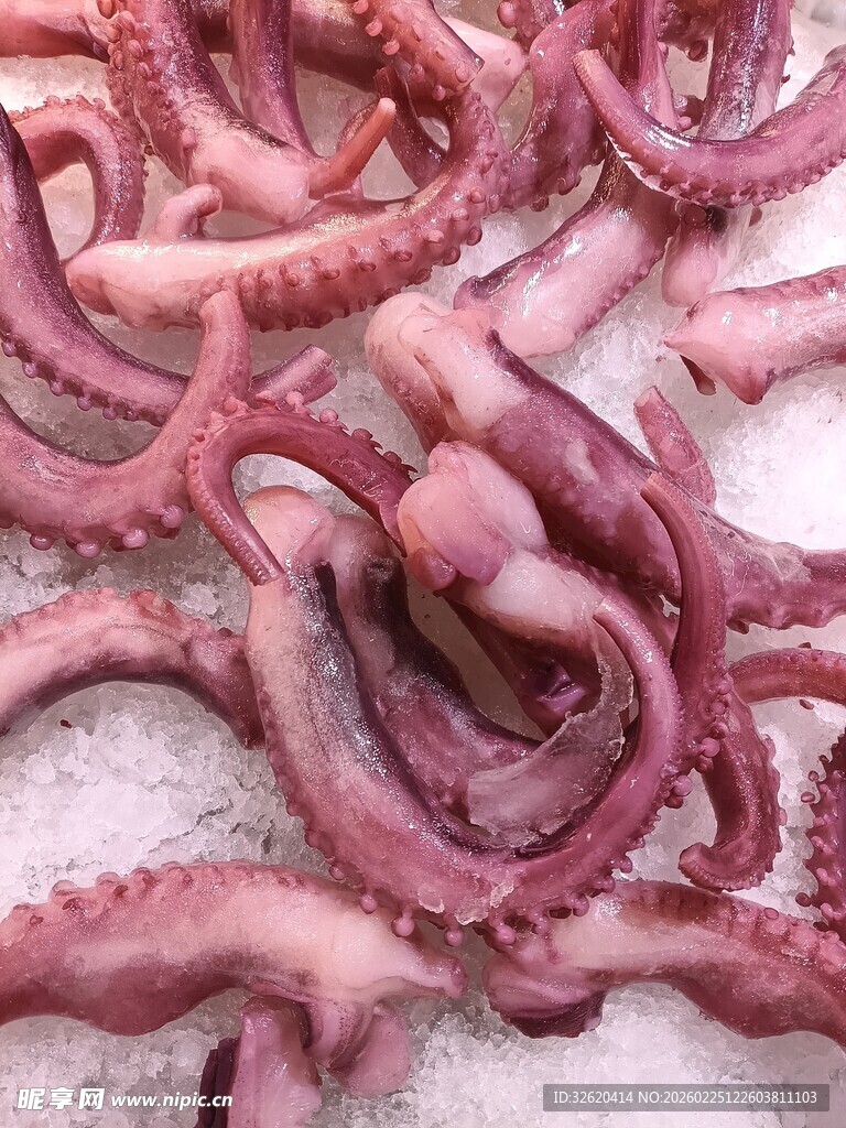章鱼触手