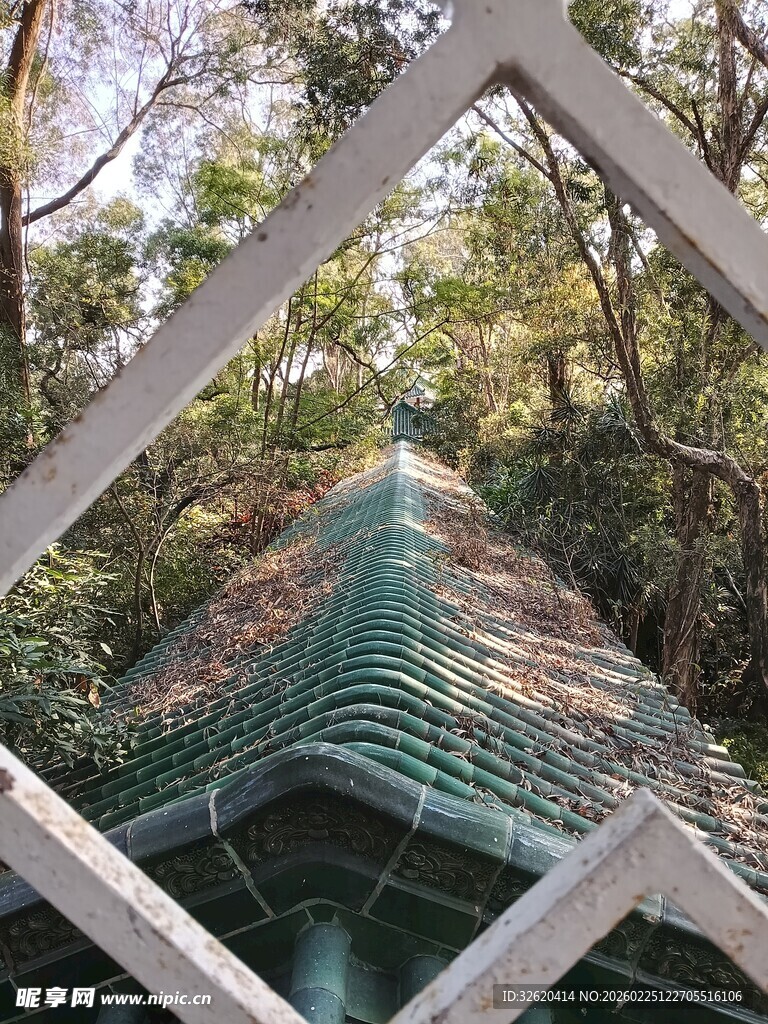 绿色屋顶