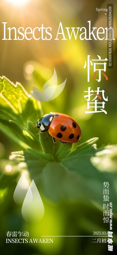 惊蛰