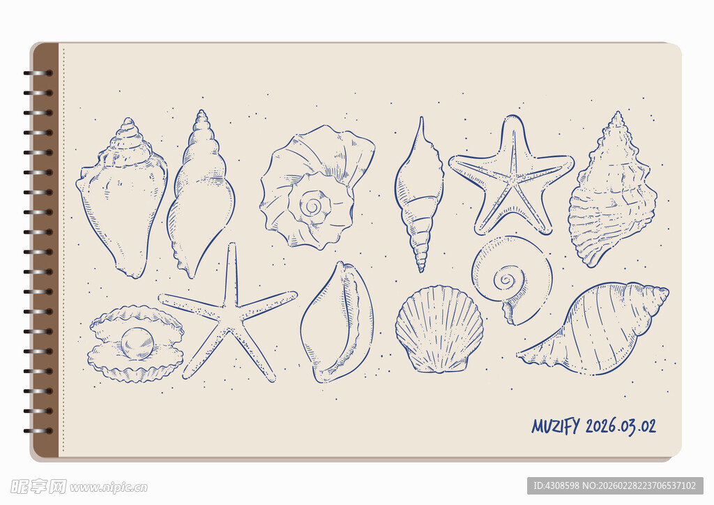 线圈本 12款入贝类手绘稿