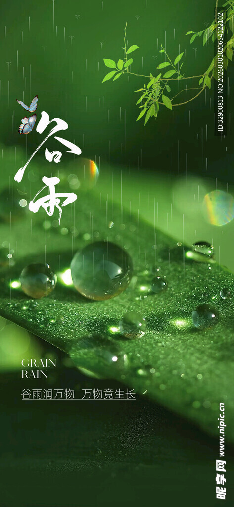 谷雨