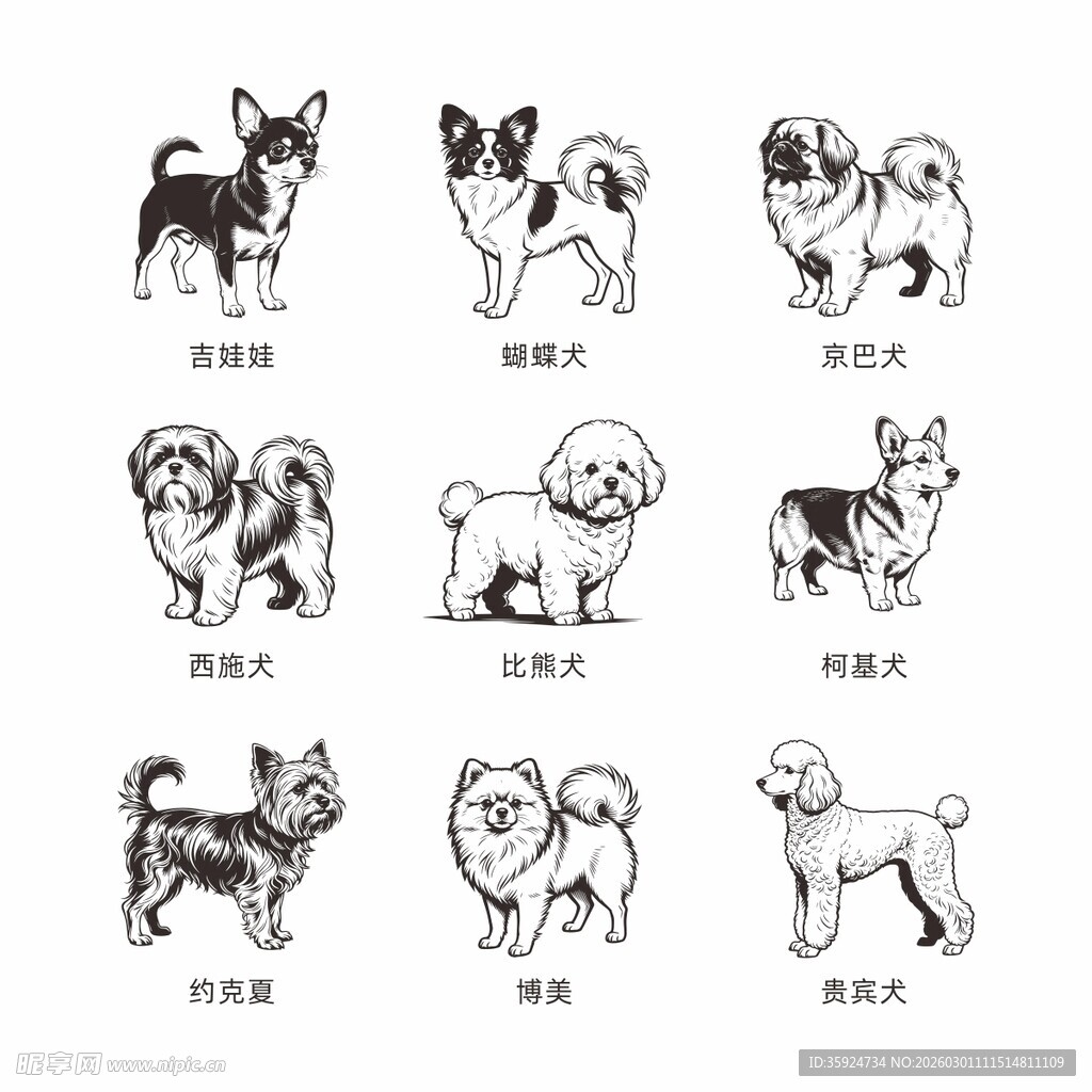 多种可爱狗狗插画集合