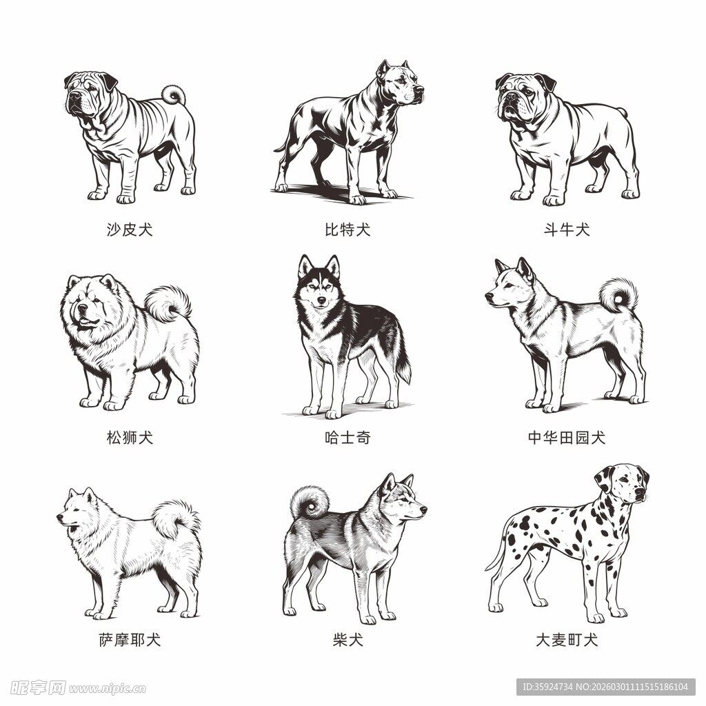 多种犬类简笔画展示