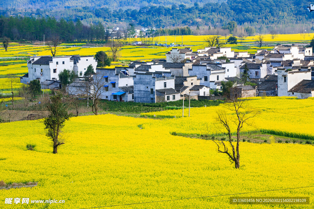 春日田园中的村落美景