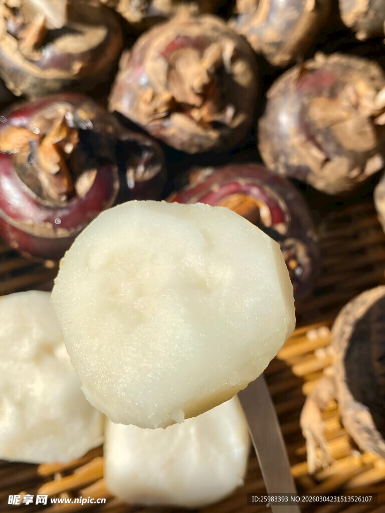 马蹄