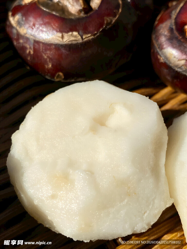 马蹄