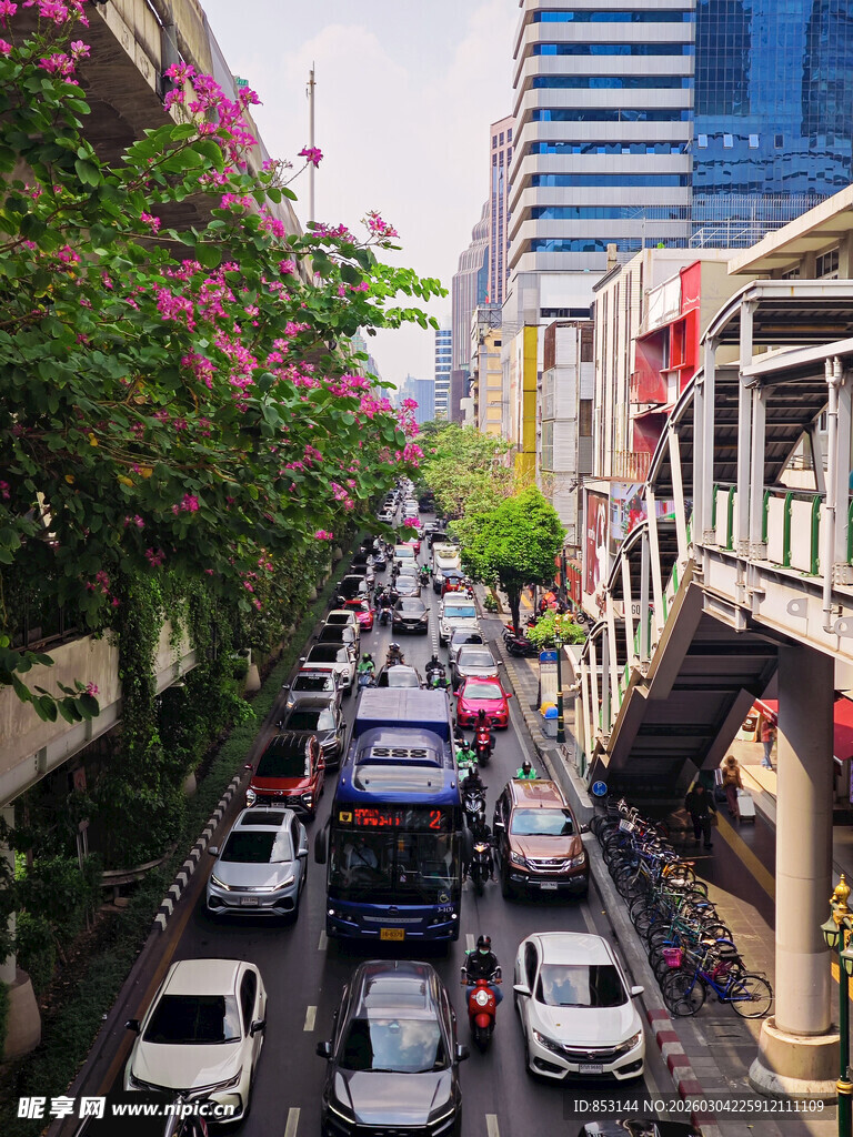 城市交通景象