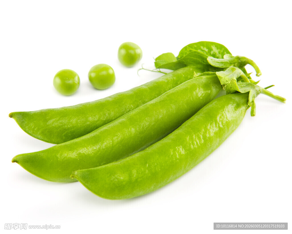 豌豆荚