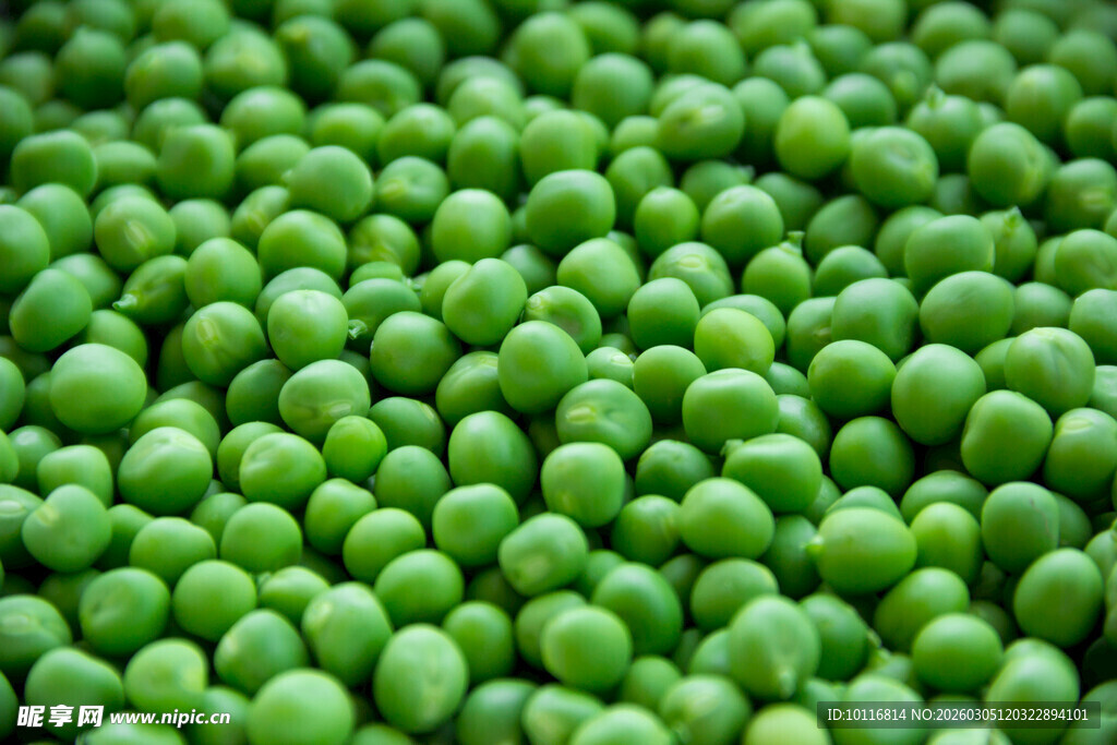青豌豆