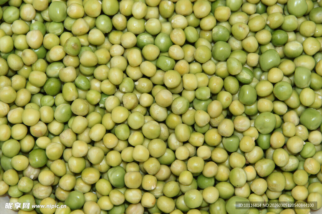 青豌豆
