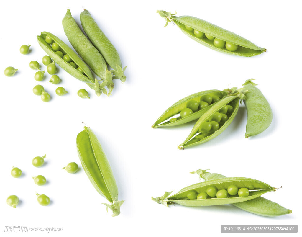 青豌豆