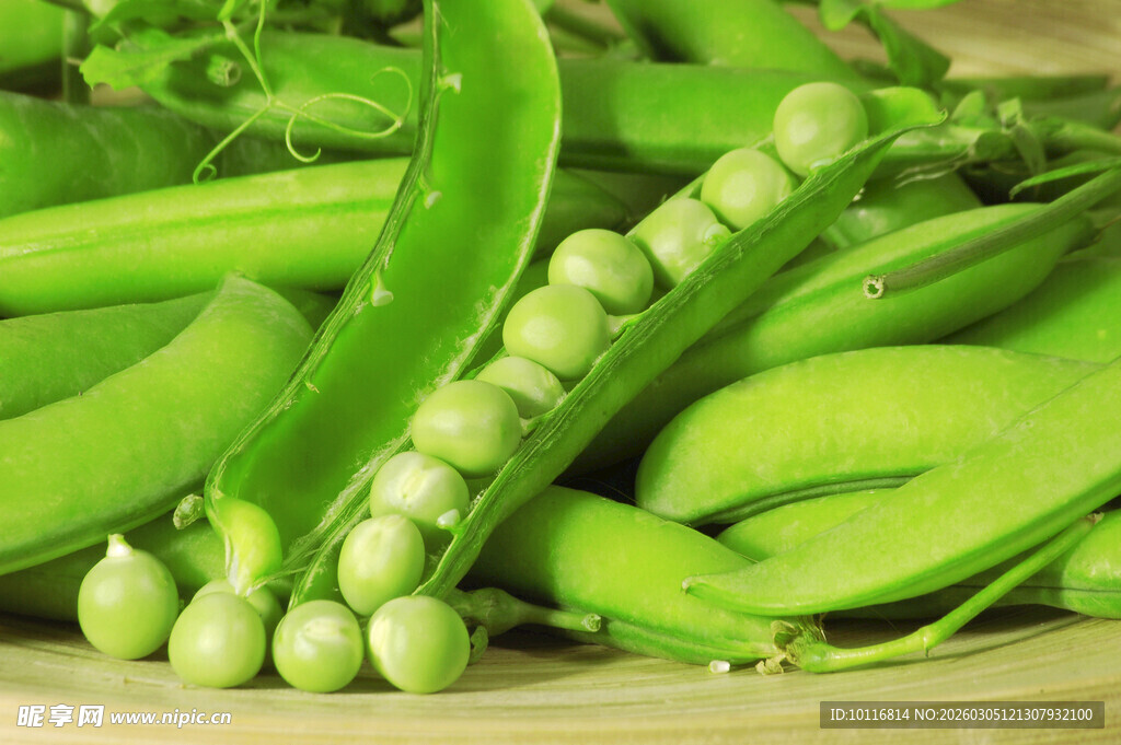 新鲜翠绿的豌豆荚和豌豆