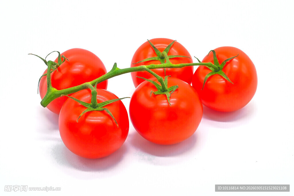 红番茄